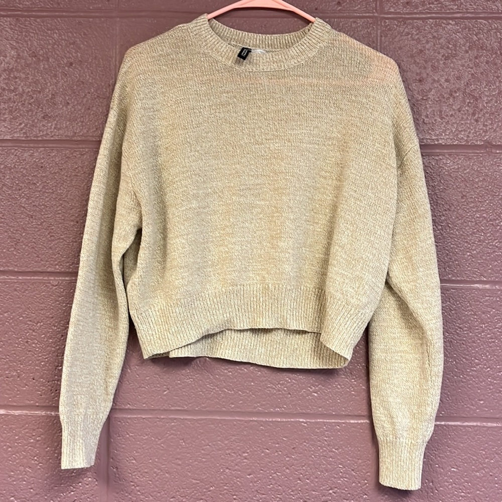 Divided- Cropped Tan Sweater